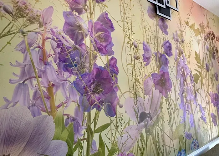 Residenza Pesce D'oro ヴェルバーニア